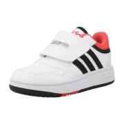 Lage Sneakers adidas HOOPS 3.0 CF I