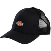 Pet Dickies Hanston Trucker Pet