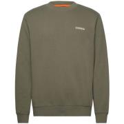 Sweater Napapijri Small Box Sweatshirt Tea Leaf