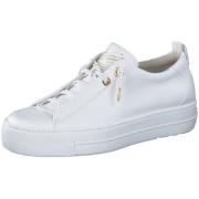 Lage Sneakers Paul Green -