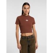 T-shirt Dickies MAPLE VALLEY DK0A4XPO-K471 CAPPUCCINO