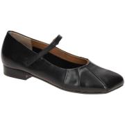 Ballerina's Everybody -