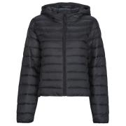 Donsjas Only ONLTAHIA LW QUILTED HOOD