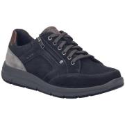 Lage Sneakers Josef Seibel -