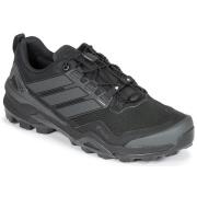 Wandelschoenen adidas TERREX SKYCHASER GTX