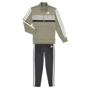 Trainingspak adidas Seasonal Essentials Tiberio 3-Stripes Tricot Track...
