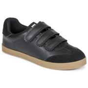 Lage Sneakers Steve Madden DAYBREAK