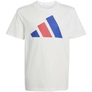 Polo Shirt Korte Mouw adidas J Bl Tee 160