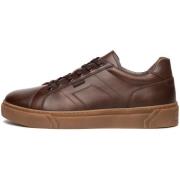 Lage Sneakers NeroGiardini Delavato Tr Iseo 1005 Ambra 3