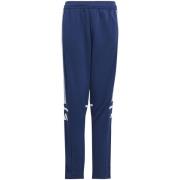 Broek adidas Sq25 Tr Pnt Y