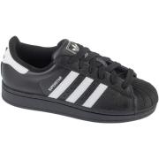 Lage Sneakers adidas adidas Superstar II J