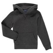 Sweater Polo Ralph Lauren LS PO HOOD