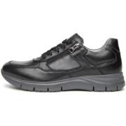 Lage Sneakers NeroGiardini Sauvage Eva Andalo 8770/001