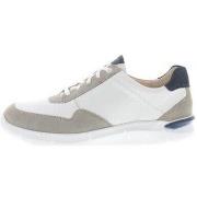 Sneakers Ganter George G