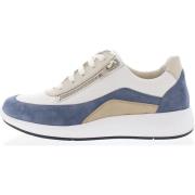 Sneakers Solidus Kalea