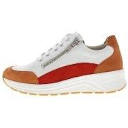 Sneakers Solidus Karma K