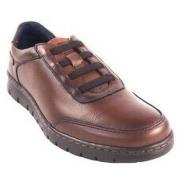 Instappers Baerchi Zapato caballero 5323 marron