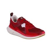 Lage Sneakers Ecco Sneaker Biom 2.2 Leder