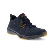 Lage Sneakers Ecco Terracruise Ll Tex Gtx
