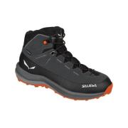 Wandelschoenen Salewa Mtn Trainer 2 Mid Ptx