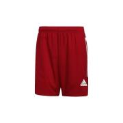 Korte Broek adidas Condivo 20