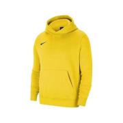 Sweater Nike Park 20