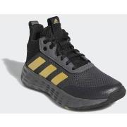 Basketbalschoenen adidas Ownthegame 20