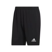 Korte Broek adidas Entrada 22