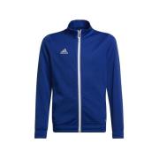 Sweater adidas Entrada 22 Track