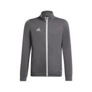 Sweater adidas Entrada 22 Track