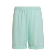 Korte Broek adidas Entrada 22