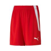 Korte Broek Puma Teamliga