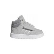 Laarzen adidas Hoops Mid