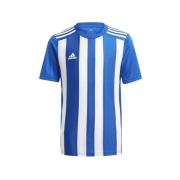 T-shirt Korte Mouw adidas Striped 21