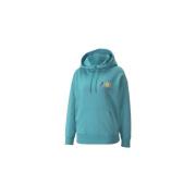 Sweater Puma Swxp Graphic Hoodie TR