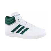 Laarzen adidas Hoops 4.0