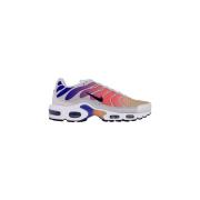 Lage Sneakers Nike Air Max Plus Tn Platinum