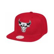 Pet Mitchell And Ness Nba Team Ground Chicago Bulls