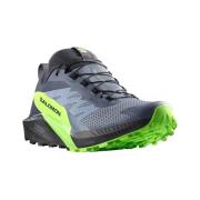 Hardloopschoenen Salomon Sense Ride 5 Gtx