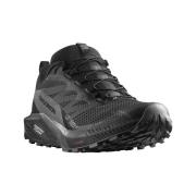 Hardloopschoenen Salomon Sense Ride 5 Gtx