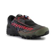 Hardloopschoenen Dynafit Feline Sl Gtx Winter
