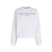 Sweater Tommy Hilfiger WW0WW39791YCF