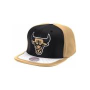 Pet Mitchell And Ness Day One Snapback Chicago Bulls