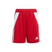 Korte Broek adidas Tiro 24 Jr