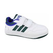 Lage Sneakers adidas Hoops 3.0