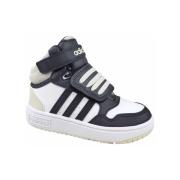 Hoge Sneakers adidas Hoops Mid 3.0
