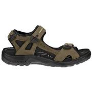 Sandalen Ecco Offroad