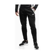 Broek adidas Tiro 24