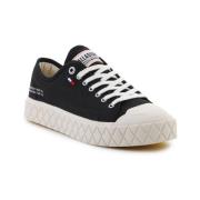 Nette Schoenen Palladium Palla Ace Cvs Org