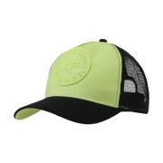 Pet 4F 4FJWSS25ACABU38945S